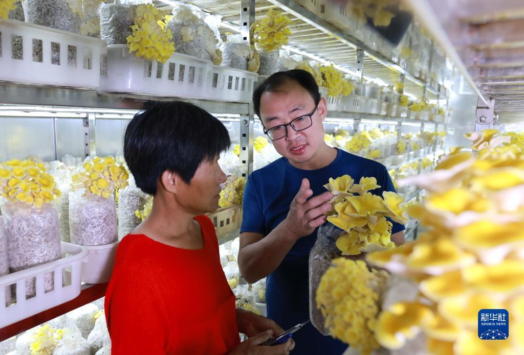打鱼注册送分可以下分