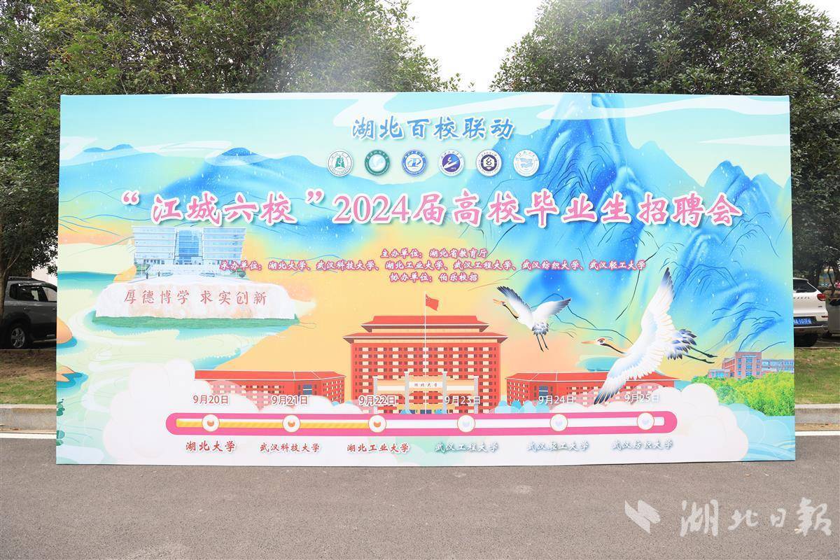 百家乐龙宝